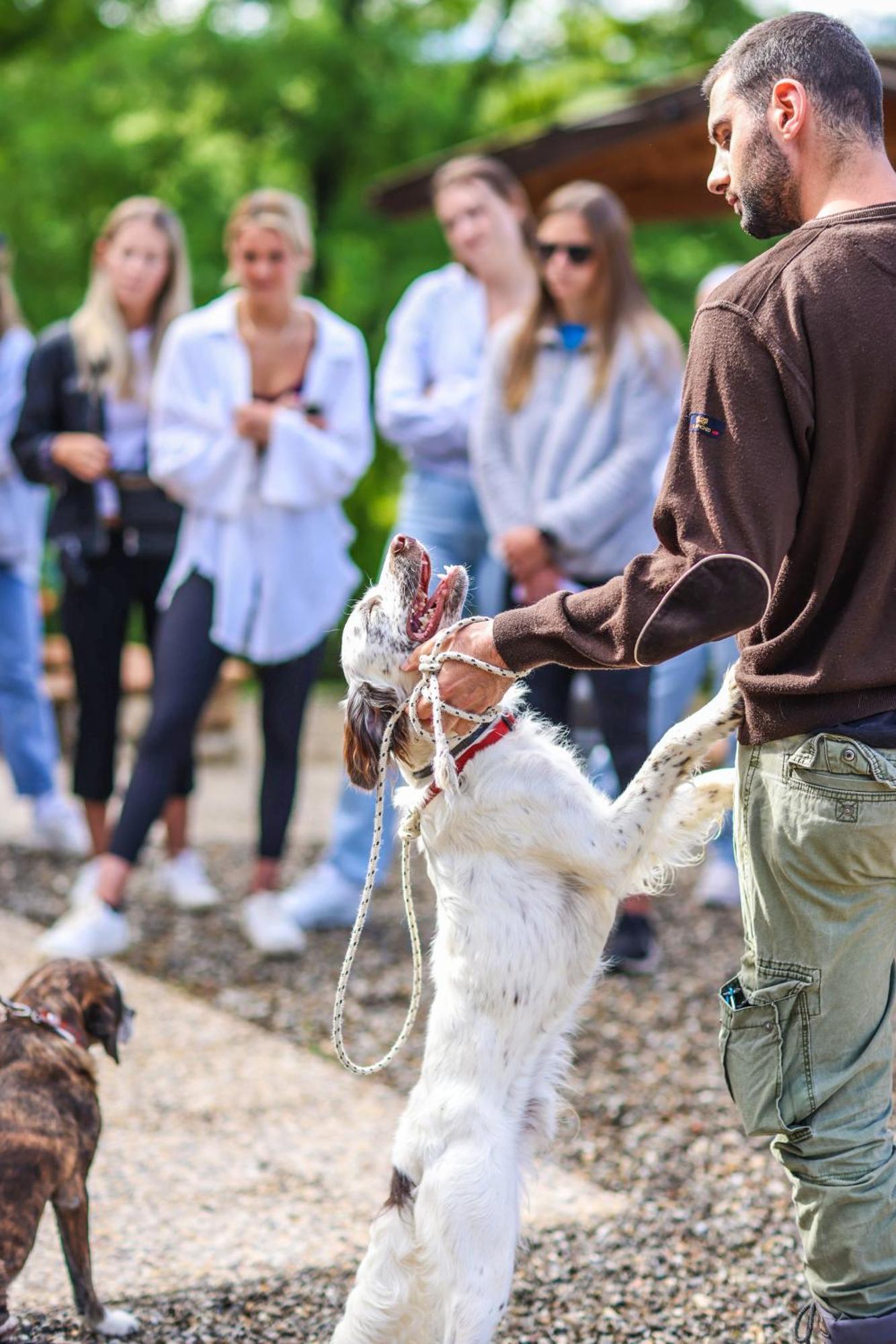 Bio-Agriturismo La Ginestra San Casciano in Val di Pesa Eksteriør billede